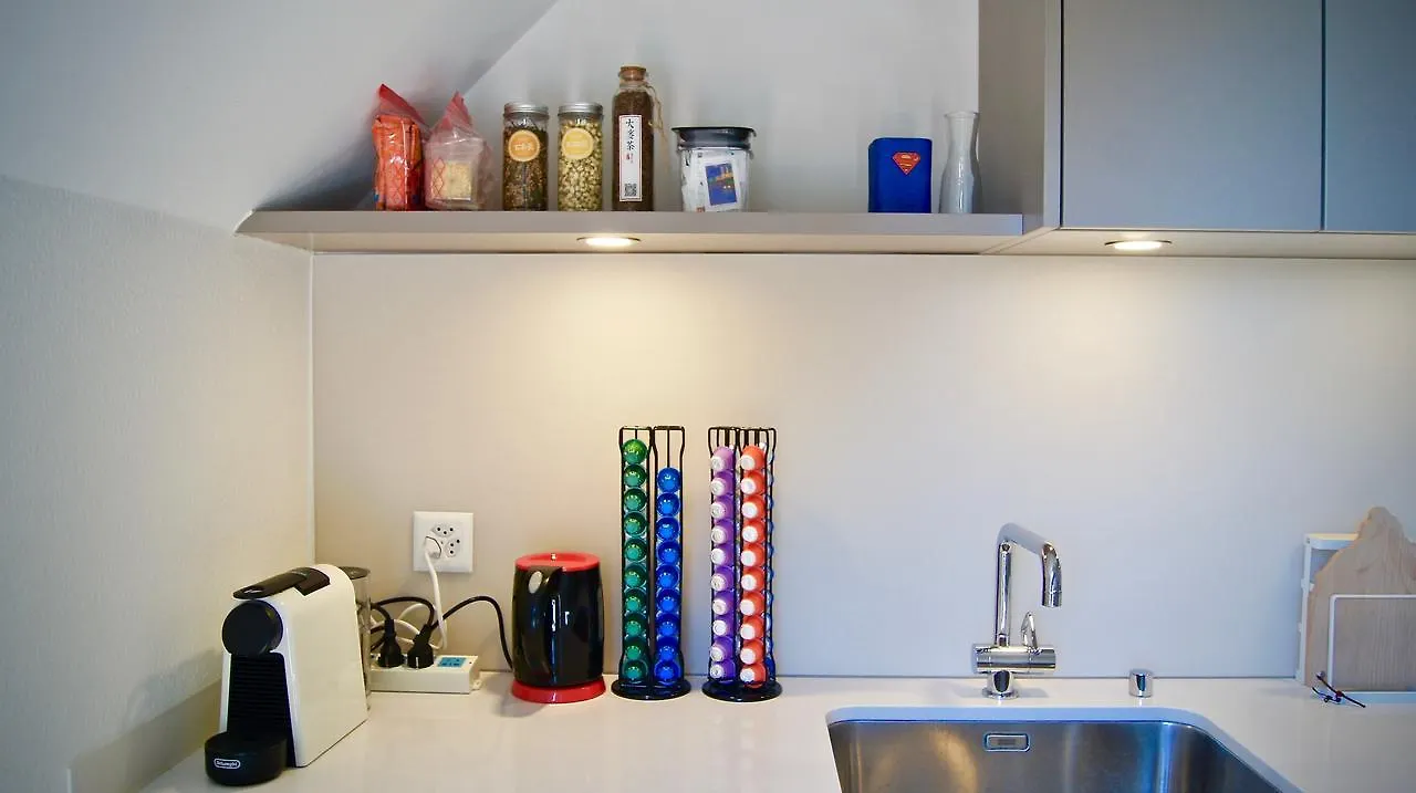 In Swiss Home - Barfuesserplatz Bar Street Apartment Базель Швейцария